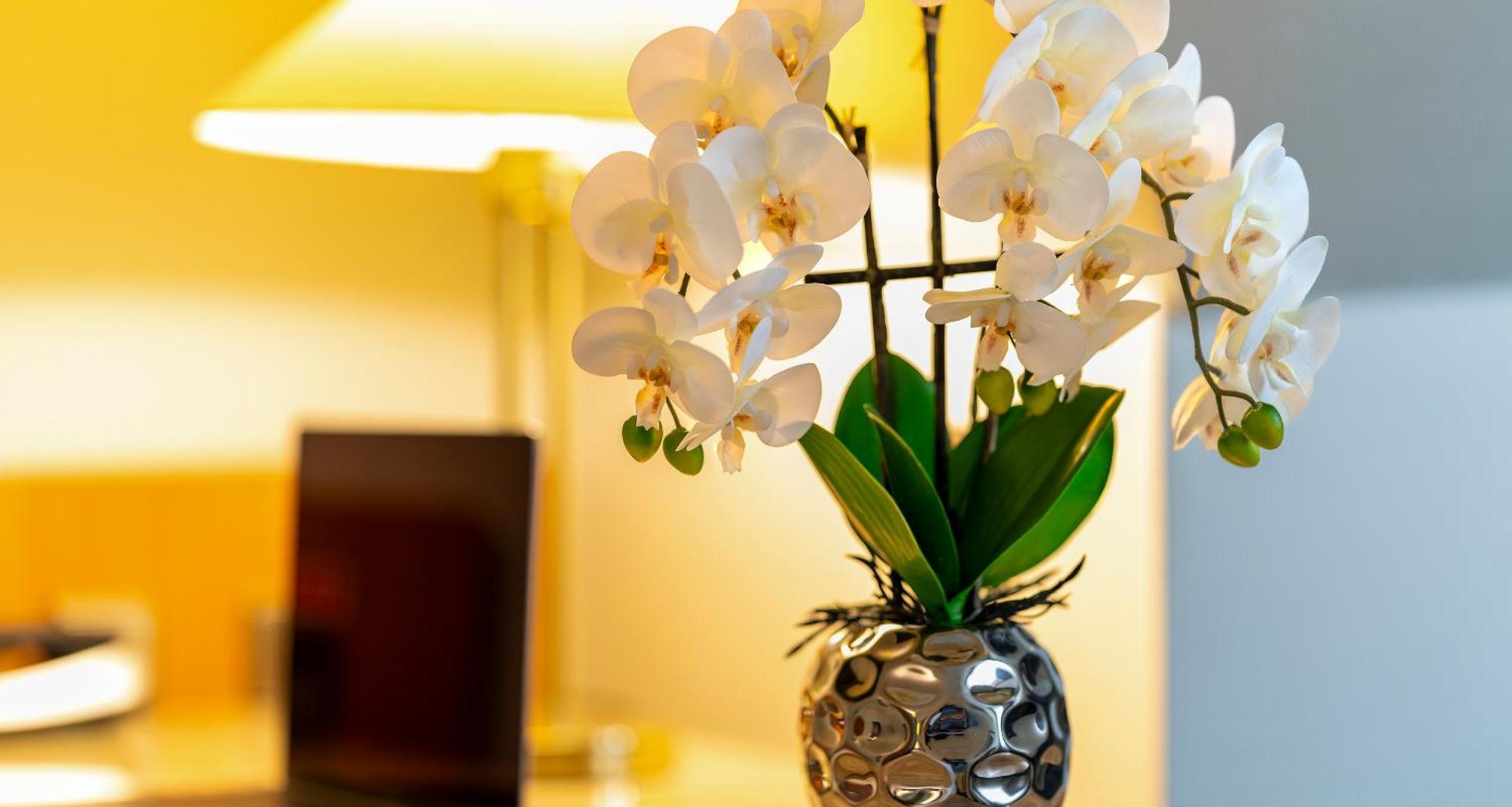 Plaza Inn Blankenburg Ditzingen, Sure Hotel Collection Bagian luar foto